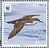 Yelkouan Shearwater Puffinus yelkouan  2016 WWF Sheet