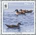 Yelkouan Shearwater Puffinus yelkouan  2016 WWF Sheet