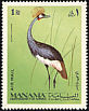 Grey Crowned Crane Balearica regulorum  1969 Birds 