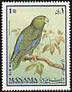 Dusky-billed Parrotlet Forpus modestus  1969 Birds 