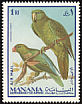 Azure-rumped Parrot Tanygnathus sumatranus  1969 Birds 