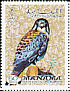 American Kestrel Falco sparverius  1970 Birds 