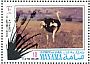 Common Ostrich Struthio camelus  1971 Conservation 