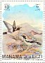 Desert Wheatear Oenanthe deserti  1971 Conservation  MS