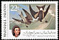 Leach's Storm Petrel Hydrobates leucorhous  1985 Audubon 