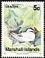 Red-tailed Tropicbird Phaethon rubricauda