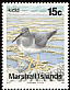 Wandering Tattler Tringa incana  1990 Birds 
