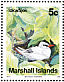 Red-tailed Tropicbird Phaethon rubricauda  1990 Birds Sheet