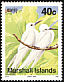 White Tern Gygis alba