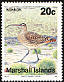 Bristle-thighed Curlew Numenius tahitiensis  1991 Birds 