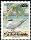 Greater Crested Tern Thalasseus bergii  1991 Birds 