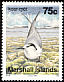 Little Tern Sternula albifrons  1992 Birds 