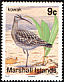 Eurasian Whimbrel Numenius phaeopus  1992 Birds 