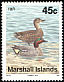 Eurasian Teal Anas crecca  1992 Birds 