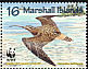 Bristle-thighed Curlew Numenius tahitiensis  1997 WWF 