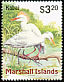 Western Cattle Egret Bubulcus ibis  1999 Birds of the Marshall Islands 