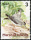 Grey-tailed Tattler Tringa brevipes