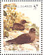 Christmas Shearwater Puffinus nativitatis  2002 Tropical island birds Sheet
