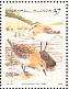 Red-necked Stint Calidris ruficollis  2002 Tropical island birds Sheet
