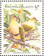 Crimson-crowned Fruit Dove  Ptilinopus porphyraceus