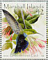 Green-throated Carib Eulampis holosericeus  2008 Colourful birds of the world Sheet