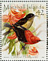 Cardinal Myzomela Myzomela cardinalis  2008 Colourful birds of the world Sheet