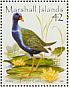 Purple Gallinule Porphyrio martinica