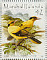 Black-naped Oriole Oriolus chinensis