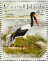 Saddle-billed Stork Ephippiorhynchus senegalensis