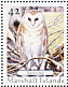 Western Barn Owl Tyto alba  2008 Owls 