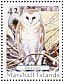 Western Barn Owl Tyto alba