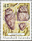 Spotted Owl Strix occidentalis  2008 Owls 