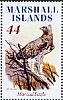 Martial Eagle Polemaetus bellicosus  2009 Eagles Sheet