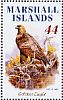 Golden Eagle Aquila chrysaetos  2009 Eagles Sheet