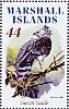 Harpy Eagle Harpia harpyja  2009 Eagles Sheet