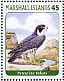 Peregrine Falcon Falco peregrinus