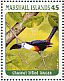 Channel-billed Toucan Ramphastos vitellinus  2013 Birds of the world I Sheet