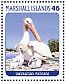 Dalmatian Pelican Pelecanus crispus  2013 Birds of the world III Sheet