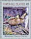 Nene Branta sandvicensis  2017 Birds Sheet