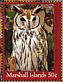 Striped Owl Asio clamator  2018 Owls Sheet
