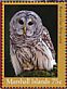 Barred Owl Strix varia  2018 Owls Sheet