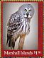 Great Grey Owl Strix nebulosa