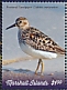 Pectoral Sandpiper Calidris melanotos  2019 Birds Sheet
