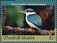 Sacred Kingfisher Todiramphus sanctus