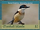 Sacred Kingfisher Todiramphus sanctus  2019 Sacred Kingfisher Sheet