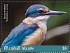 Sacred Kingfisher Todiramphus sanctus  2019 Sacred Kingfisher  MS