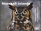 Great Horned Owl Bubo virginianus  2021 Owls Sheet