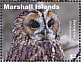 Barred Owl Strix varia