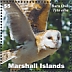 Western Barn Owl Tyto alba  2021 Owls  MS