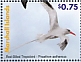 Red-billed Tropicbird Phaethon aethereus  2021 Birds of the Marshall Islands Sheet